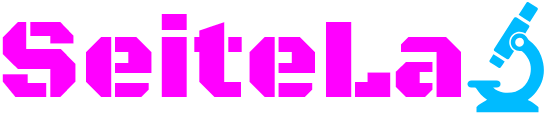 Logo SeiteLab